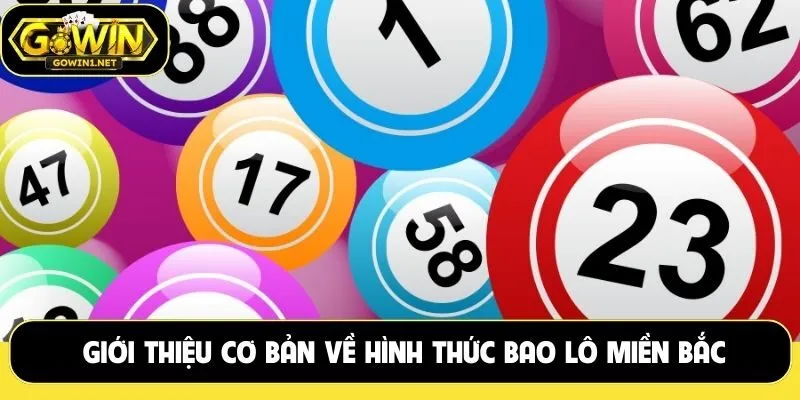 Giới thiệu cơ bản về hình thức bao lô miền Bắc