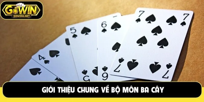 Giới thiệu chung về bộ môn ba cây