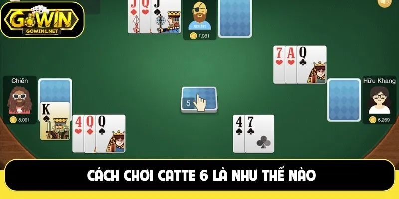 Cách chơi catte 6 là như thế nào