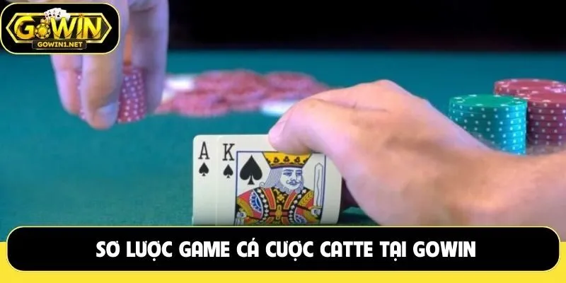 Sơ lược game cá cược Catte tại GOWIN