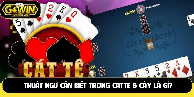 Thuật ngữ cần biết trong catte 6 cây là gì?