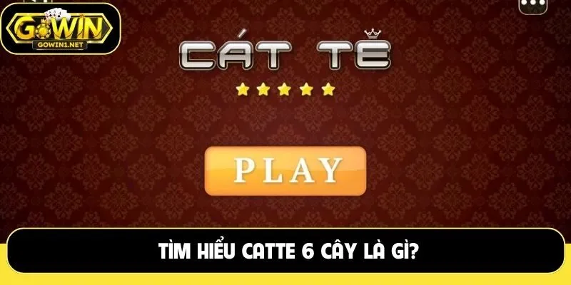 Tìm hiểu Catte 6 cây là gì?