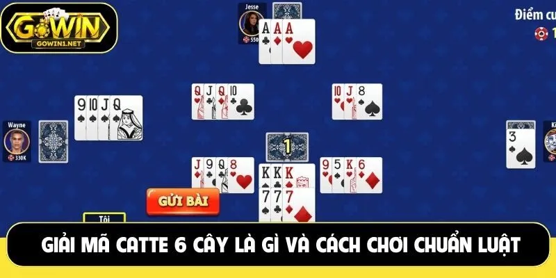 Catte 6 cây là gì
