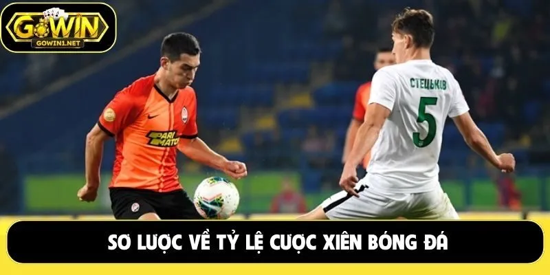 Sơ lược về tỷ lệ cược xiên bóng đá