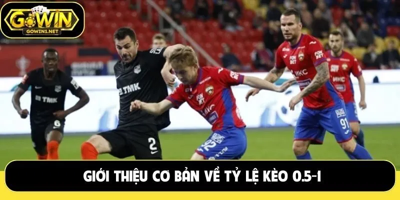 Giới thiệu cơ bản về tỷ lệ kèo 0.5-1