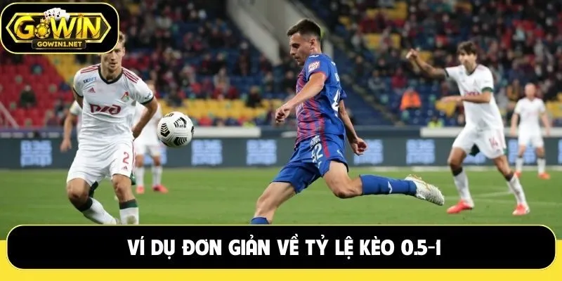 Ví dụ đơn giản về tỷ lệ kèo 0.5-1
