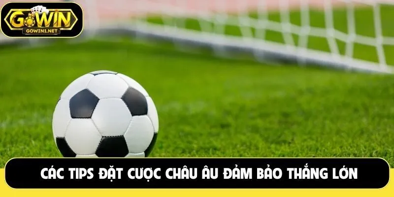 Các tips đặt cược châu Âu đảm bảo thắng lớn