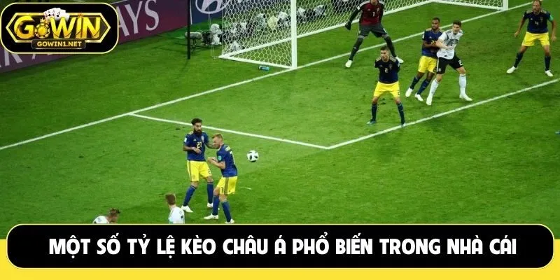 Một số tỷ lệ kèo châu Á phổ biến trong nhà cái