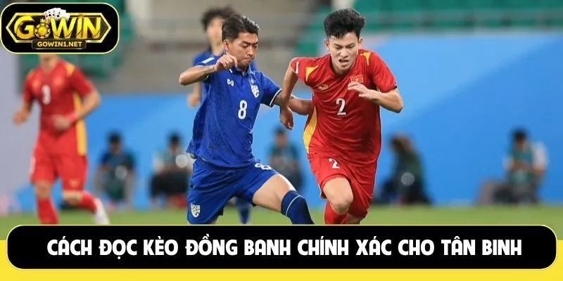 Cách đọc kèo đồng banh chính xác cho tân binh