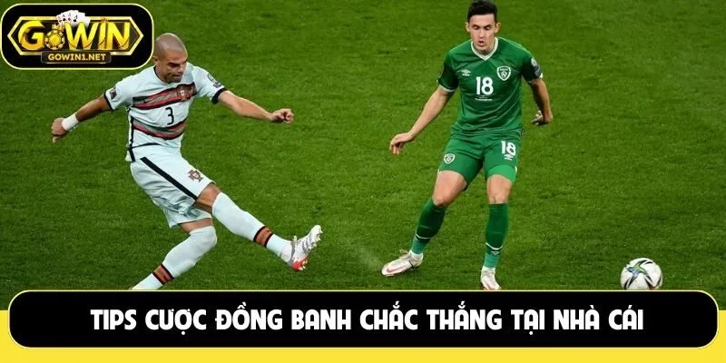 Tips cược đồng banh chắc thắng tại nhà cái