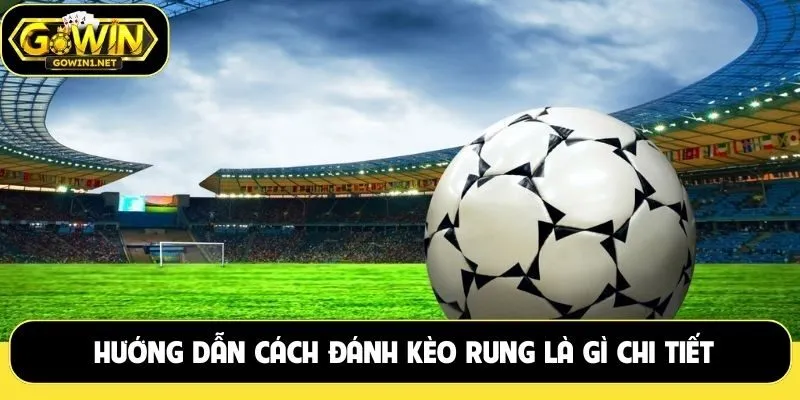 Hướng dẫn cách đánh kèo rung là gì chi tiết