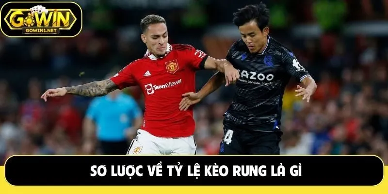 Sơ lược về tỷ lệ kèo rung là gì