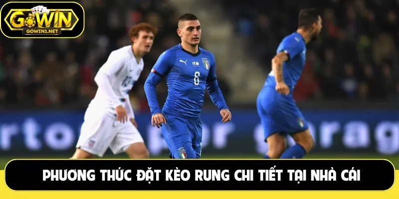 Phương thức đặt kèo rung chi tiết tại nhà cái ngày nay