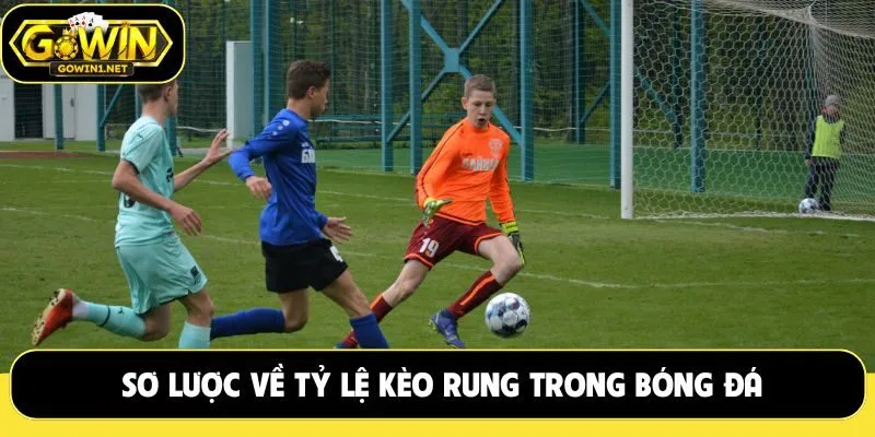 Sơ lược về tỷ lệ kèo rung trong bóng đá