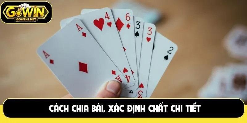 Cách chia bài, xác định chất chi tiết