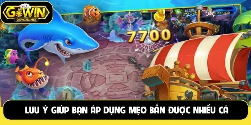 Lưu ý giúp bạn áp dụng mẹo bắn được nhiều cá