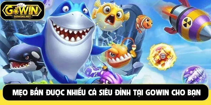 Mẹo bắn được nhiều cá