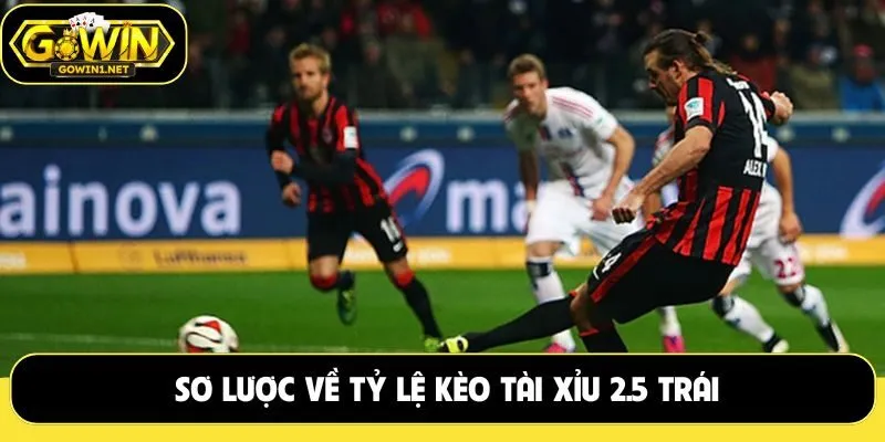 Sơ lược về tỷ lệ kèo tài xỉu 2.5 trái