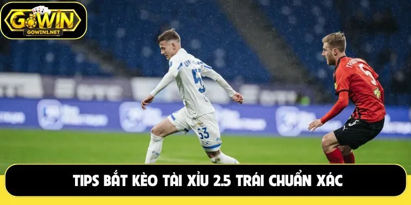 Tips bắt kèo tài xỉu 2.5 trái chuẩn xác